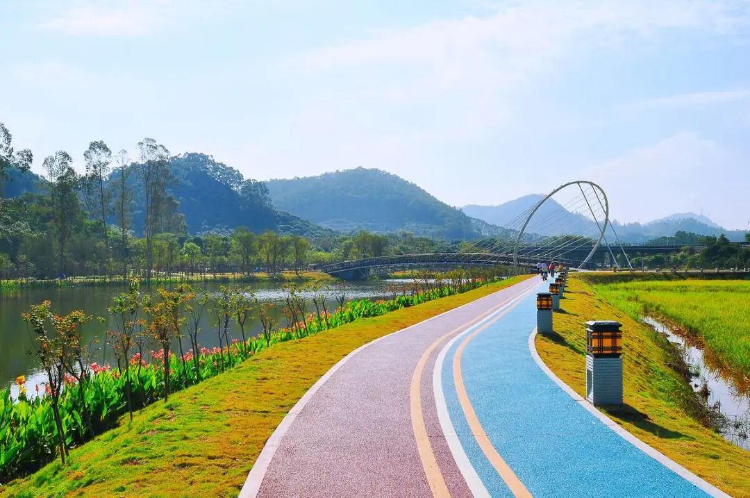 彩色透水混凝土路面----東莞市黃江鎮(zhèn)大屏嶂森林公園案例